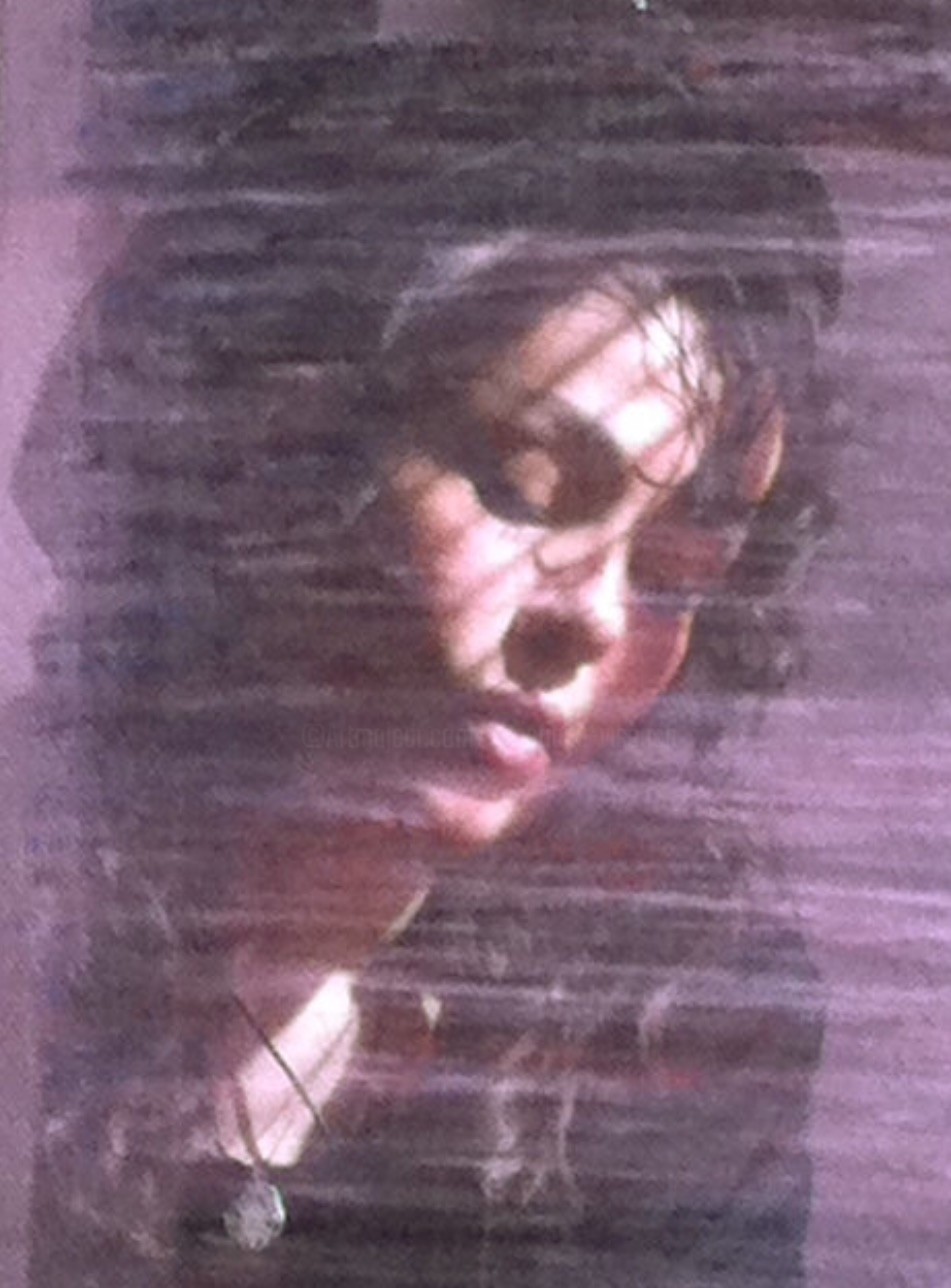 Christiana Visentin Gajoni - Sur la vitre et dans le tableau
